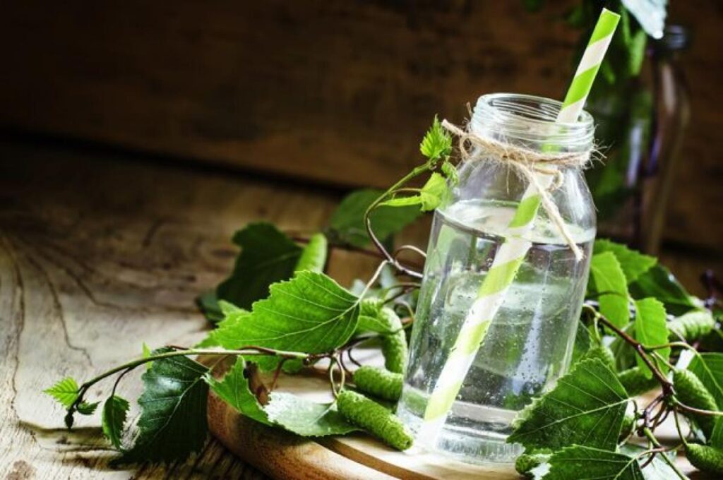 фото: березовий сік у пляшці – користь березового соку