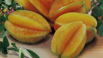 фото: карамбола – тропічні фрукти