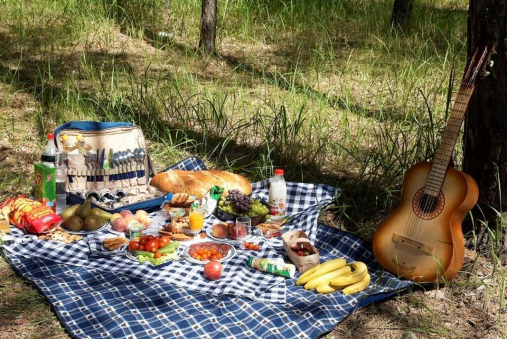 фото: пікнік на природі, їжа на пледі