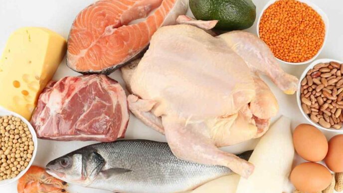 фото: курятина, риба, мʼясо, яйця, сир – продукти, які містять білок