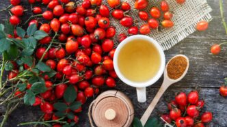 фото: чай і шипшина - користь чаю з шипшини