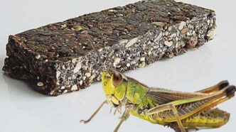 фото: протеїновий батончик і цвіркун – борошно з цвіркунів