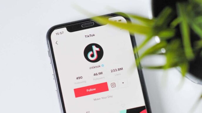 фото: смартфон з TikTok – як вести бізнес у TikTok