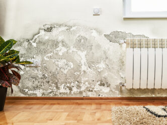 фото: цвіль на стіні у будинку